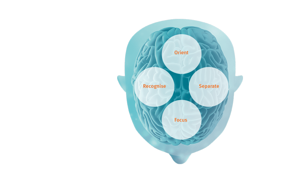 BrainHearingTM is about a fundamental understanding of how hearing works and how the brain makes sense of sound